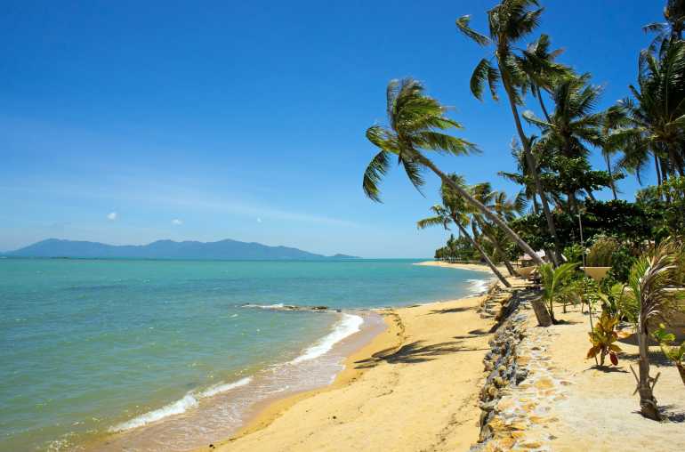 3 03 770 Koh Samui Tropical beach with coconut palm Koh Samui