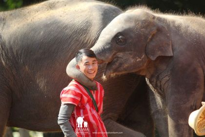 1200 Patara Elefant und junger Mann