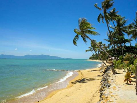 770 Koh Samui Tropical beach with coconut palm Koh Samui