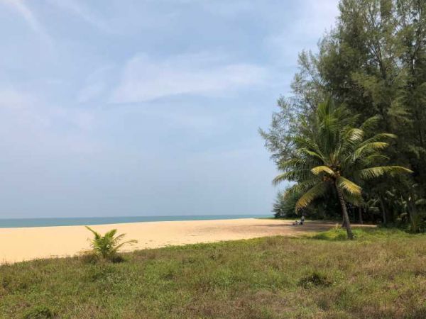 770 Khao Lak OrchidIMG 275